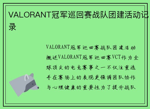 VALORANT冠军巡回赛战队团建活动记录
