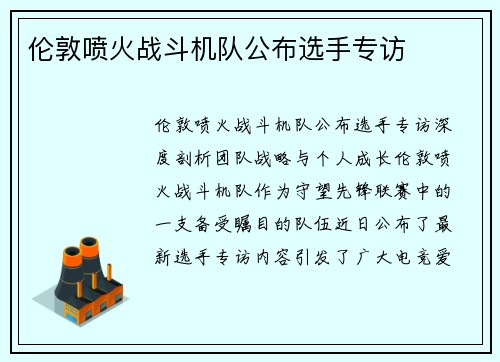 伦敦喷火战斗机队公布选手专访