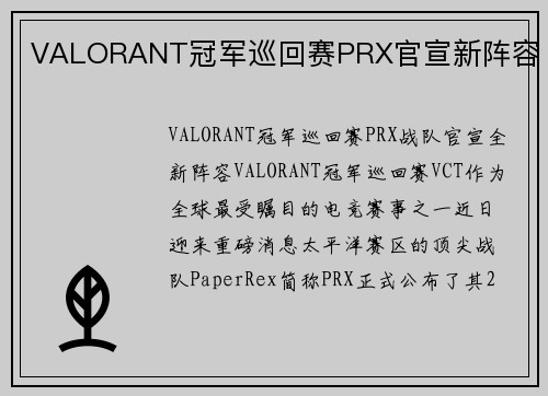 VALORANT冠军巡回赛PRX官宣新阵容
