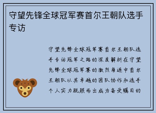 守望先锋全球冠军赛首尔王朝队选手专访