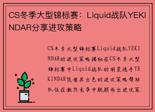 CS冬季大型锦标赛：Liquid战队YEKINDAR分享进攻策略
